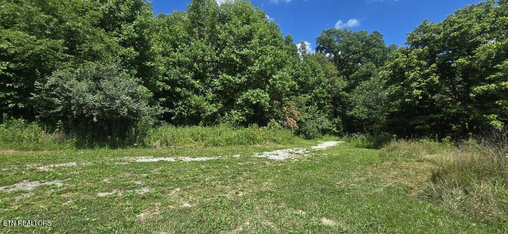 925 Anderson Hollow Road Huntsville, TN 37756 - Photo 4 of 9 20260615_145930