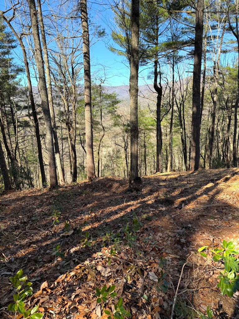 Lot 8 Top Horseshoe Ridge Murphy, NC 28906 - Photo 3 of 7 Gallery Image 3