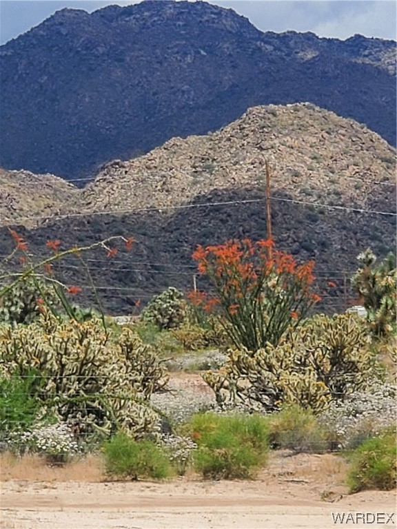 11135 Bennie Road Yucca, AZ 86438 - Photo 3 of 27 a view of a backyard