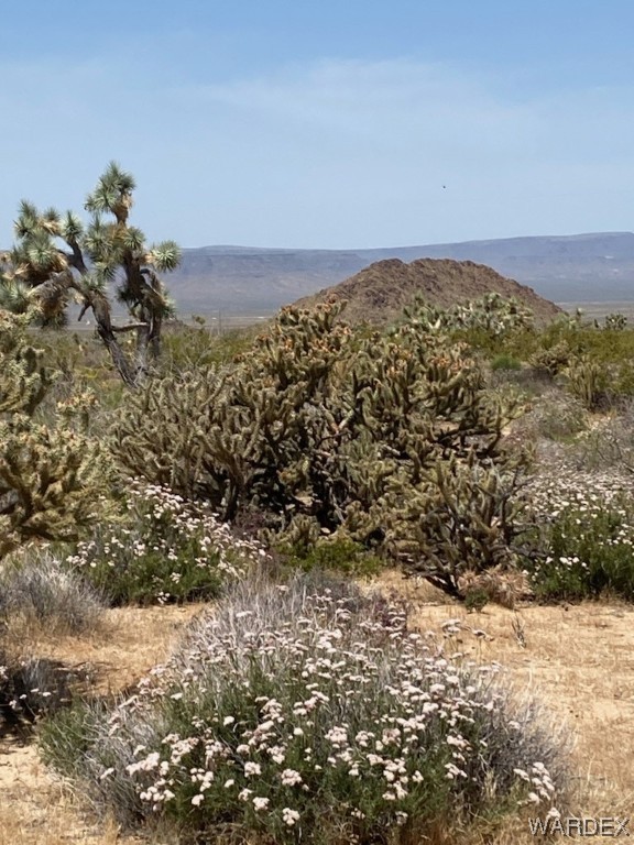 11135 Bennie Road Yucca, AZ 86438 - Photo 7 of 27 a view of a yard