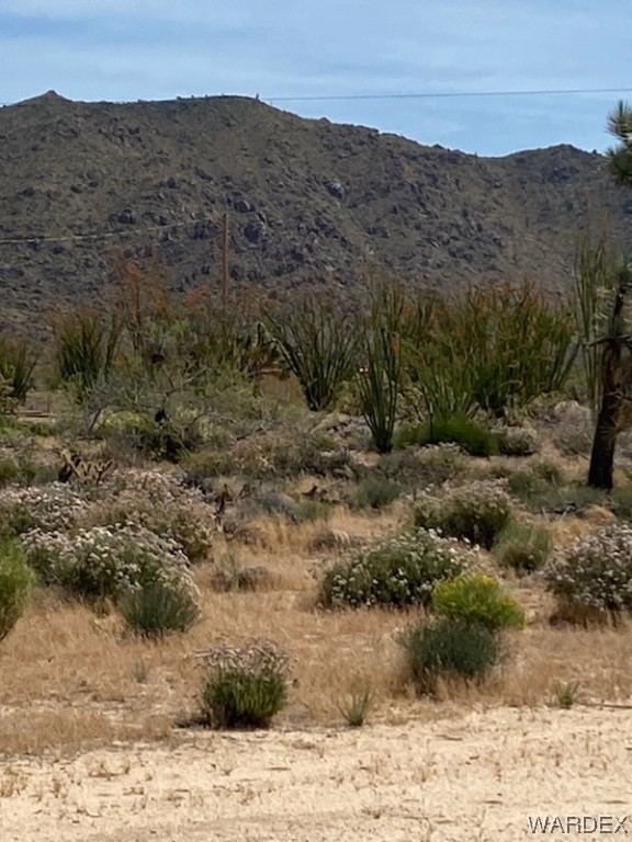 11135 Bennie Road Yucca, AZ 86438 - Photo 9 of 27 a view of a dry field