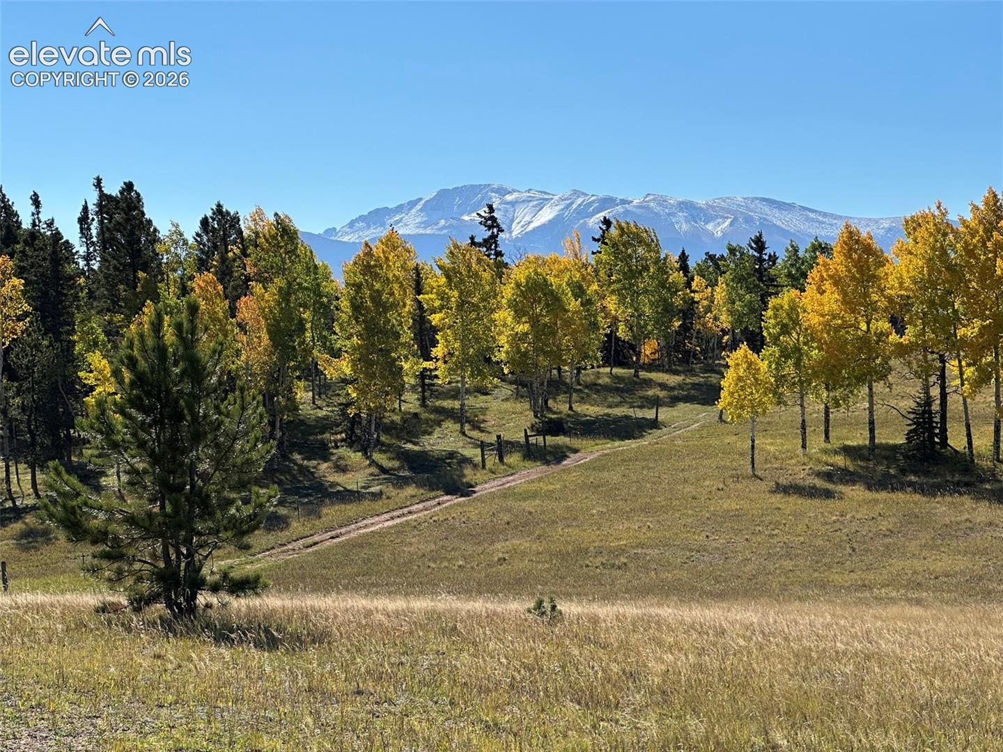 2940 NORTH Rd Divide Divide, CO 80814 - Photo 1 of 27 Gallery Image 1