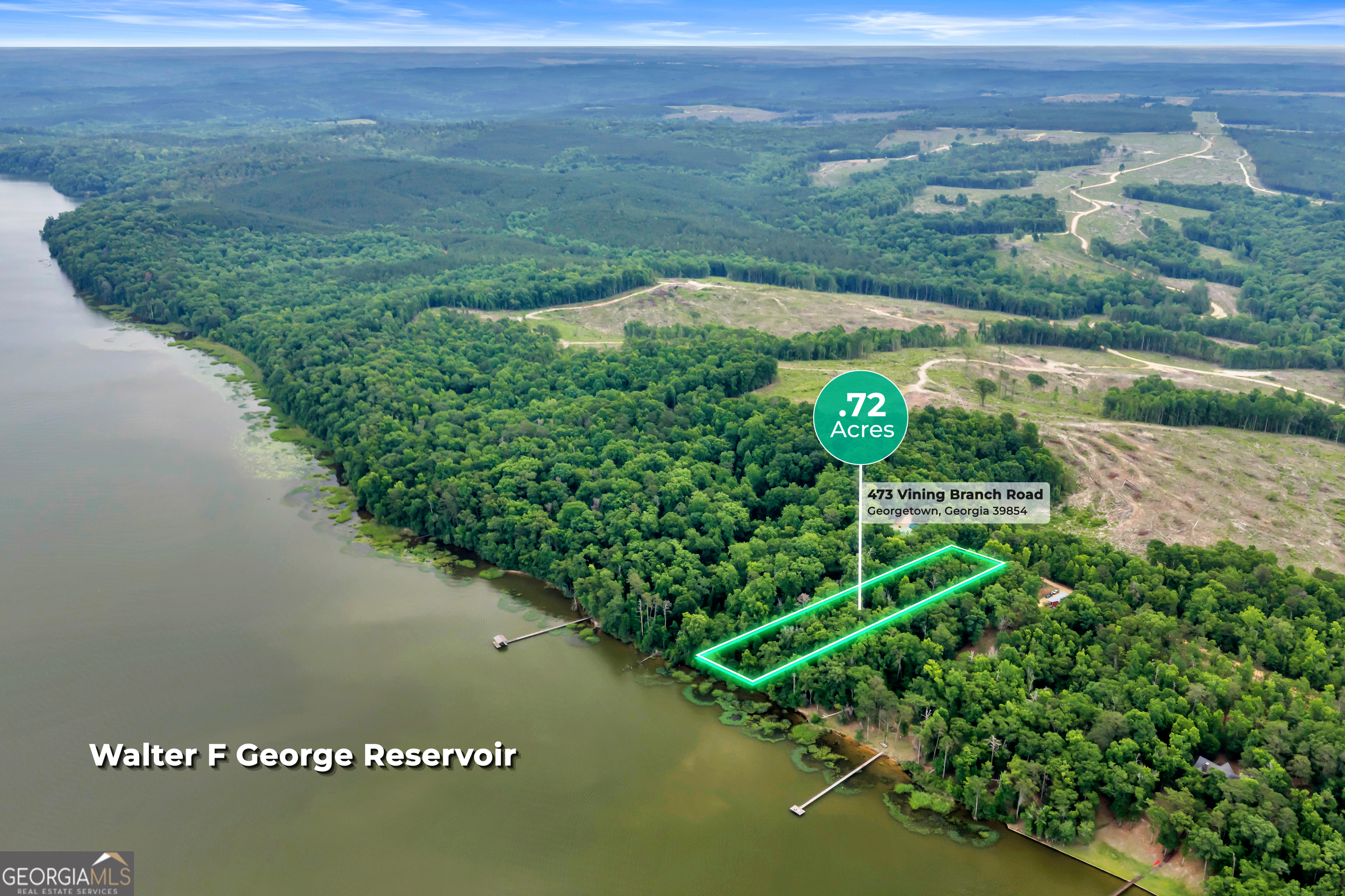 473 Vining Branch Road Georgetown, GA 39854 - Photo 3 of 43 a view of a lake with a big yard