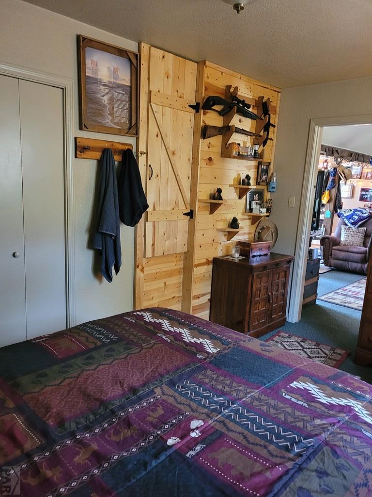 8287 Cuerna Verde Road Rye, CO 81069 - Photo 21 of 52