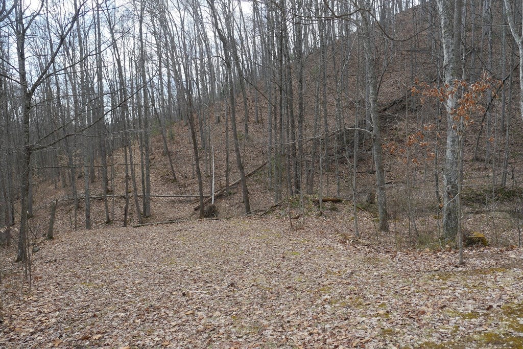 Tbd Reynolds Ridge Road, Unit 1 Bandy, VA 24602 - Photo 32 of 44 Gallery Image 32