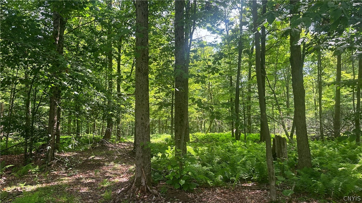 137 Windham Road Smithville, NY 13778 - Photo 6 of 20