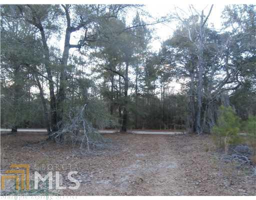 215 Caudill Road Ellabell, GA 31308 - Photo 1 of 1 Gallery Image 1