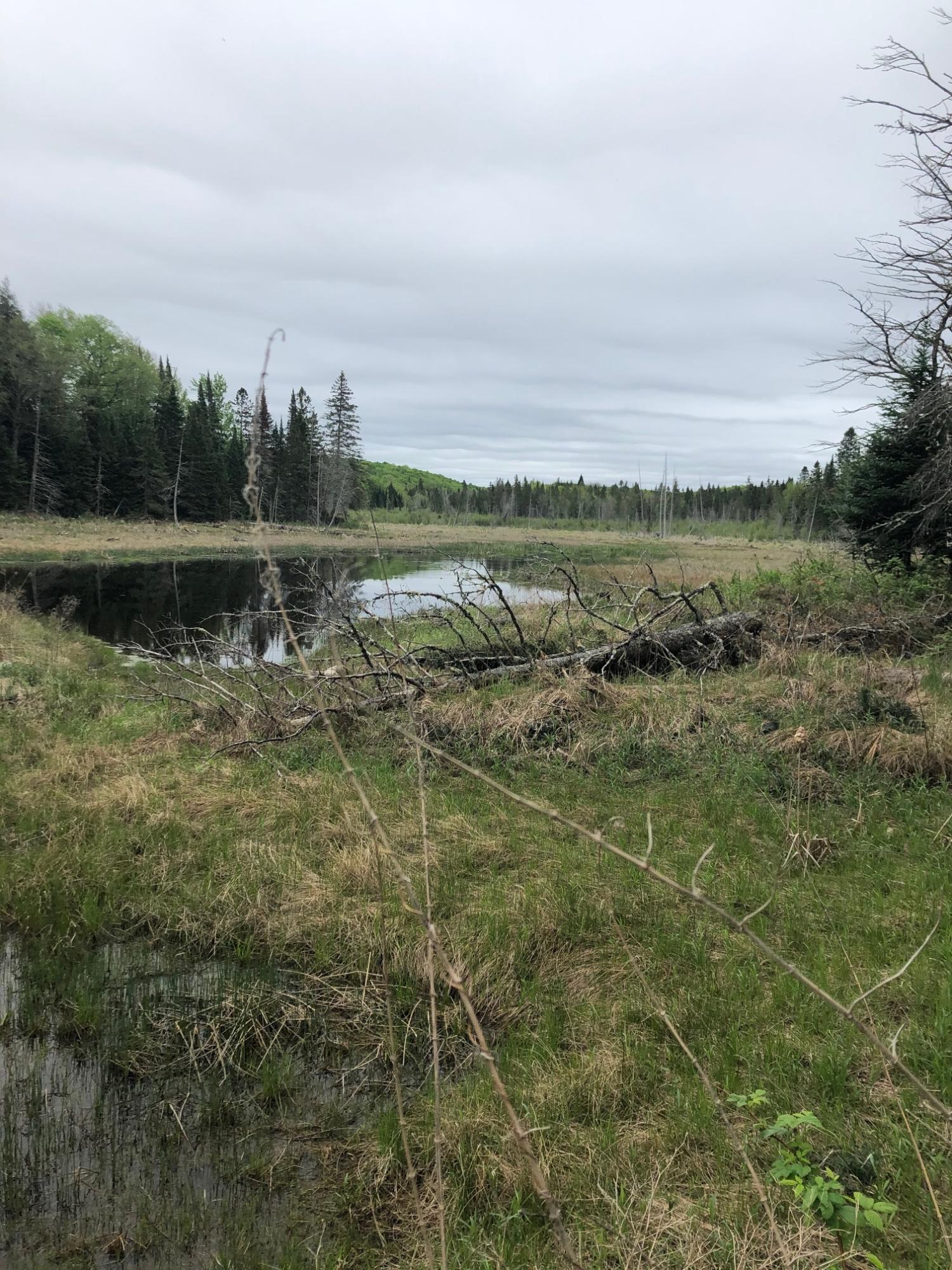 Off Fire Tower Road, Unit 40 AC Watersmeet, MI 49969 - Photo 23 of 37 Gallery Image 23