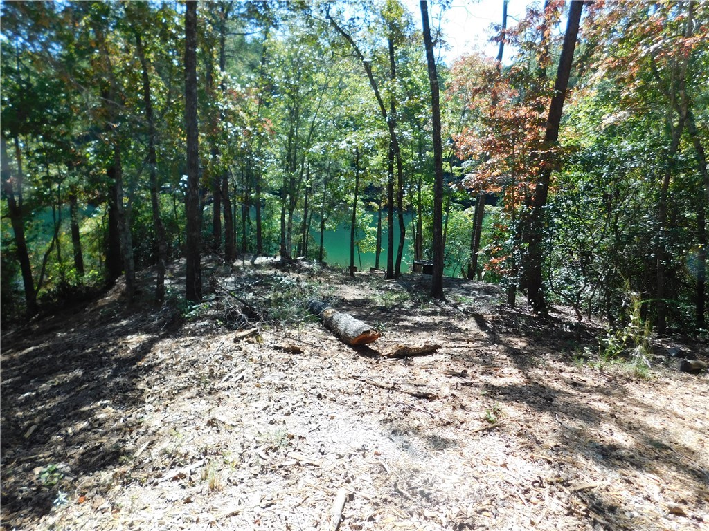 Lot 22 Old Chapman Bridge Road Salem, SC 29676 - Photo 1 of 5 Gallery Image 1