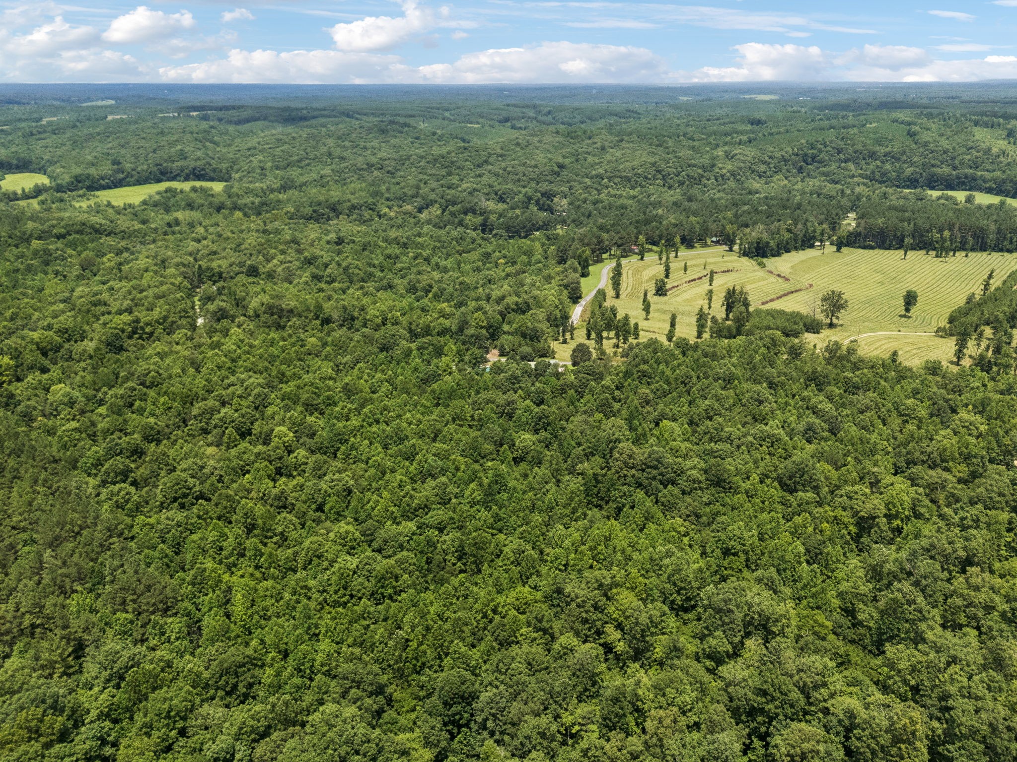 176 Robert Hensley Road Hohenwald, TN 38462 - Photo 42 of 53 a view of a lake with a yard