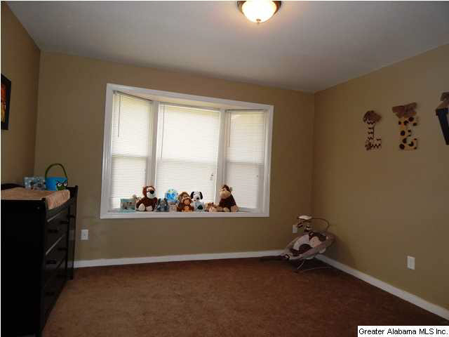6508 Water Works Road Mount Olive, AL 35117 - Photo 29 of 32
