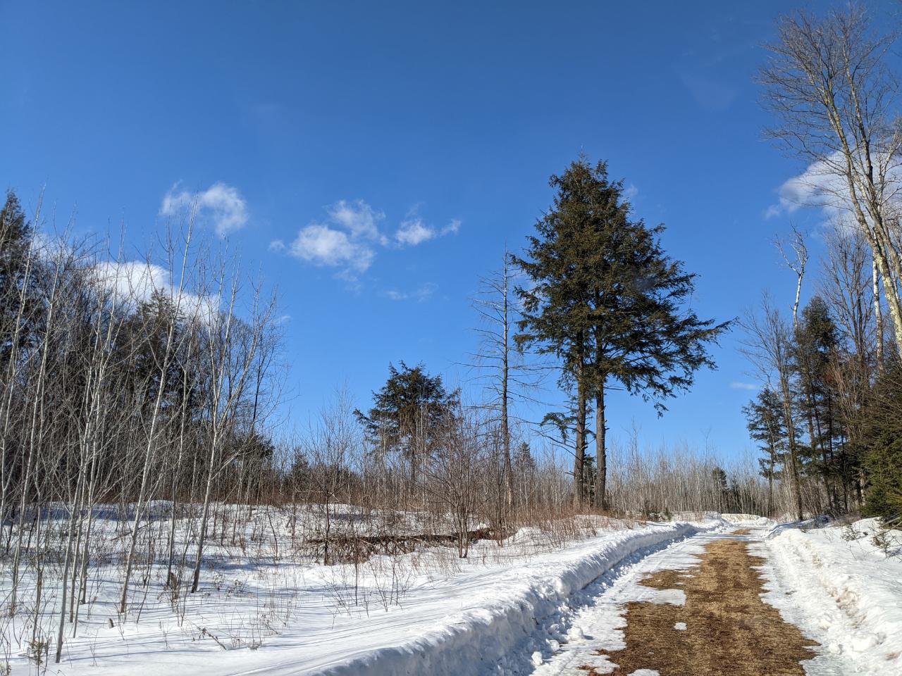 W5248 Berry Road Phillips, WI 54555 - Photo 28 of 37 Gallery Image 28