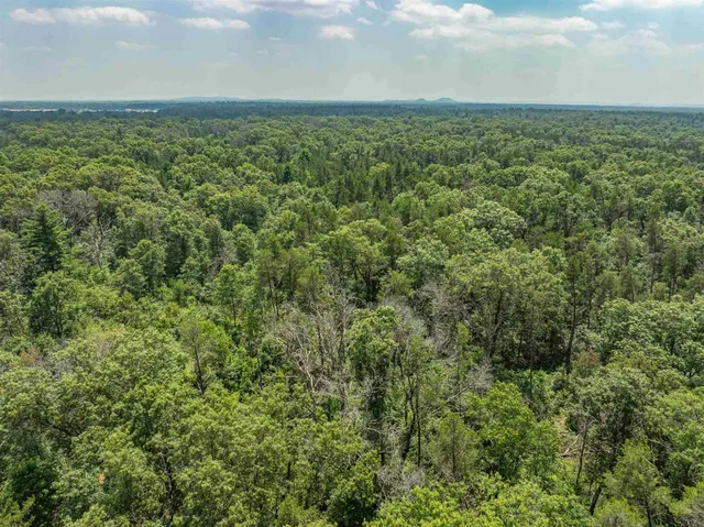 $110,000 | L3-9.93 Ac County Road A, New Lisbon, WI 53950