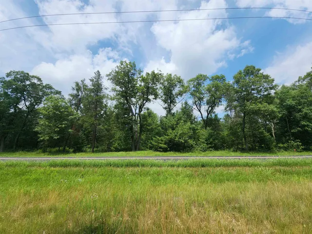 $110,000 | L3-9.93 Ac County Road A, New Lisbon, WI 53950