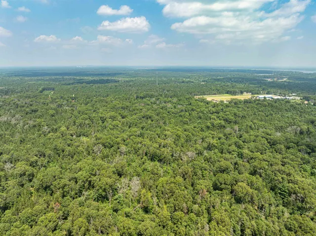 $110,000 | L3-9.93 Ac County Road A, New Lisbon, WI 53950