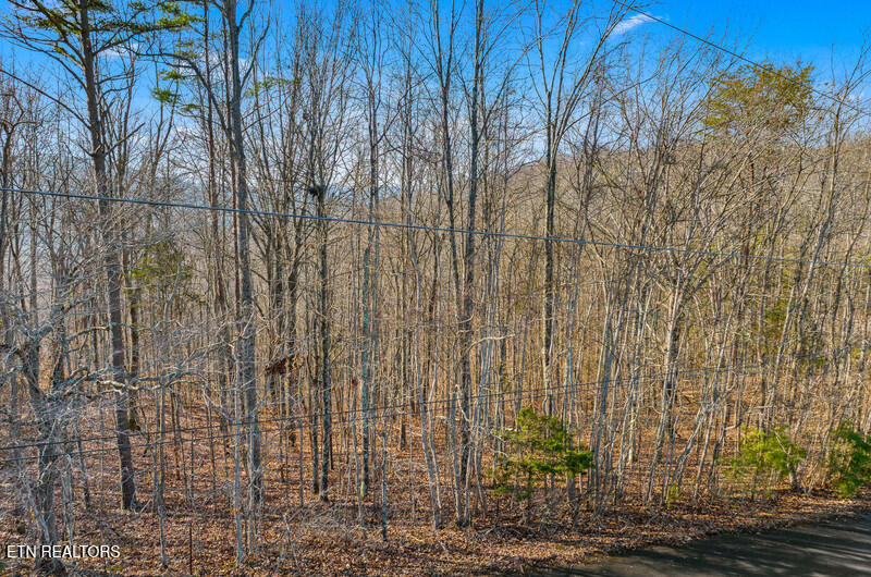 DJI_20260122102434_0458_D.jpg-vsuniqueid