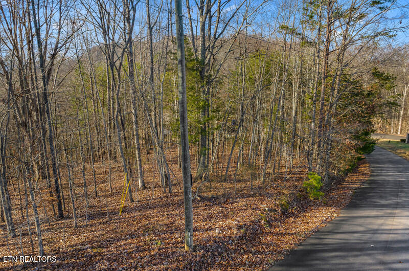 Overton Road Maynardville, TN 37807 - Photo 2 of 8 DJI_20260122102857_0534_D.jpg-vsuniqueid
