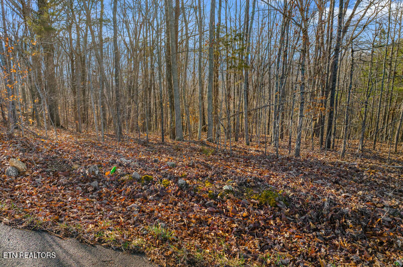 Overton Road Maynardville, TN 37807 - Photo 3 of 8 DJI_20260122102917_0539_D.jpg-vsuniqueid