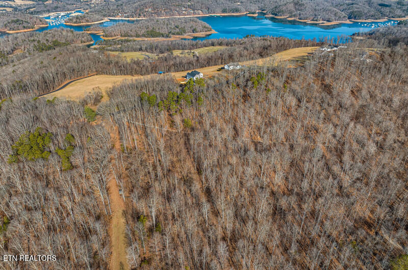 Overton Road Maynardville, TN 37807 - Photo 5 of 8 DJI_20260122102601_0466_D.jpg-vsuniqueid