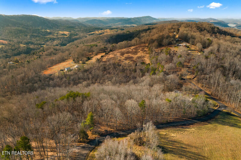 Overton Road Maynardville, TN 37807 - Photo 7 of 8 DJI_20260122102819_0518_D.jpg-vsuniqueid