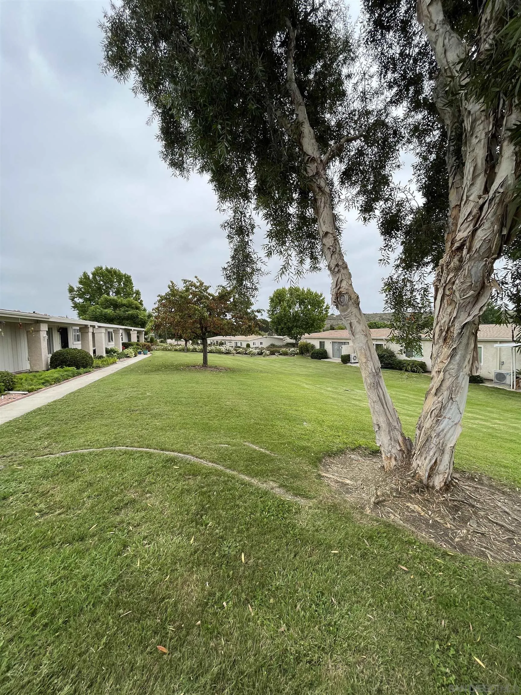 3719 Bay Leaf Way Oceanside, CA 92057 - Photo 25 of 33 a view of a field with a tree