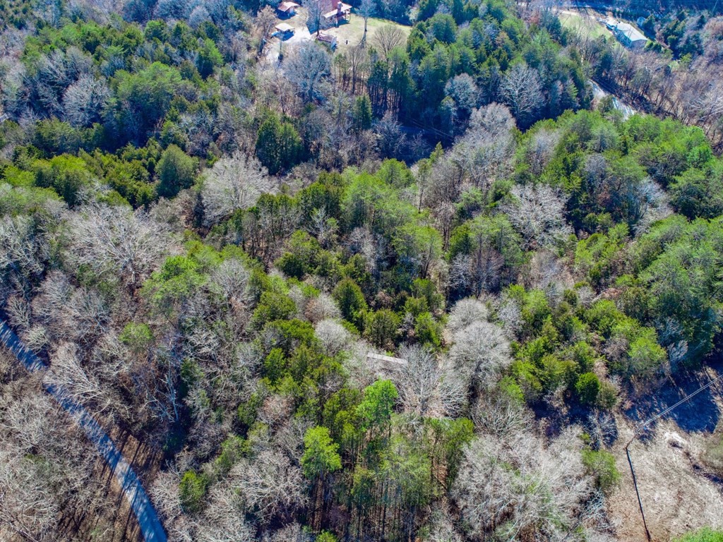 406 Clearwood Road Newport, TN 37821 - Photo 33 of 33 Gallery Image 33