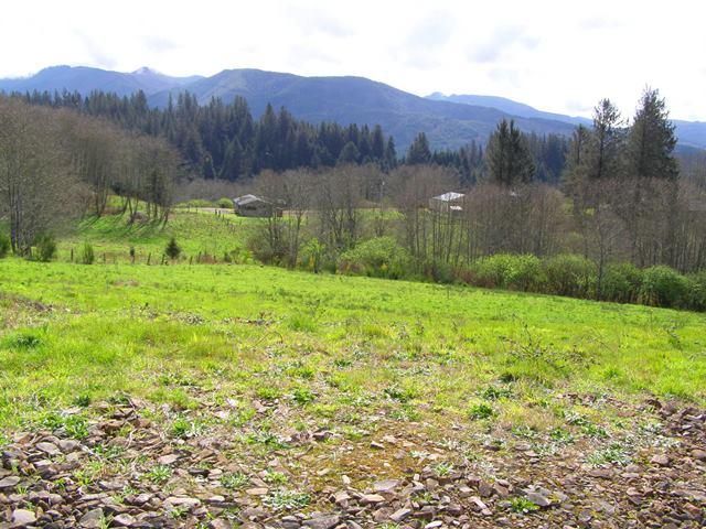 Lot 25 Skyview Road Tillamook, OR 97141 - Photo 12 of 21 P3180343.JPG