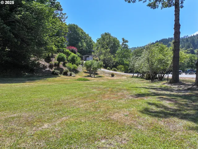 a view of a park with large trees