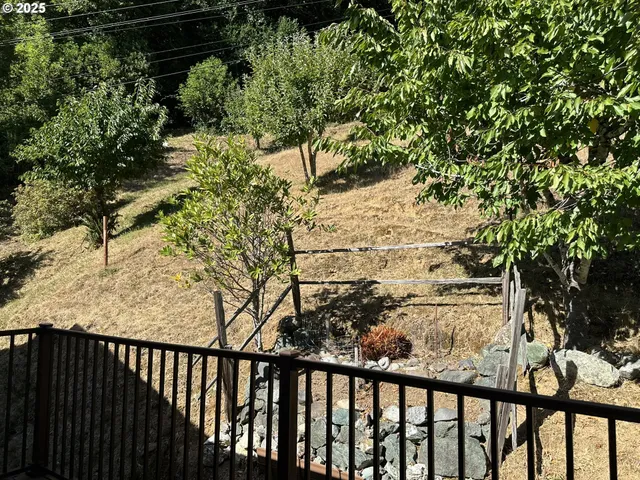 a view of a backyard of the house