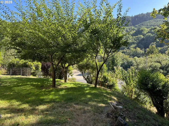 a view of a backyard with large trees