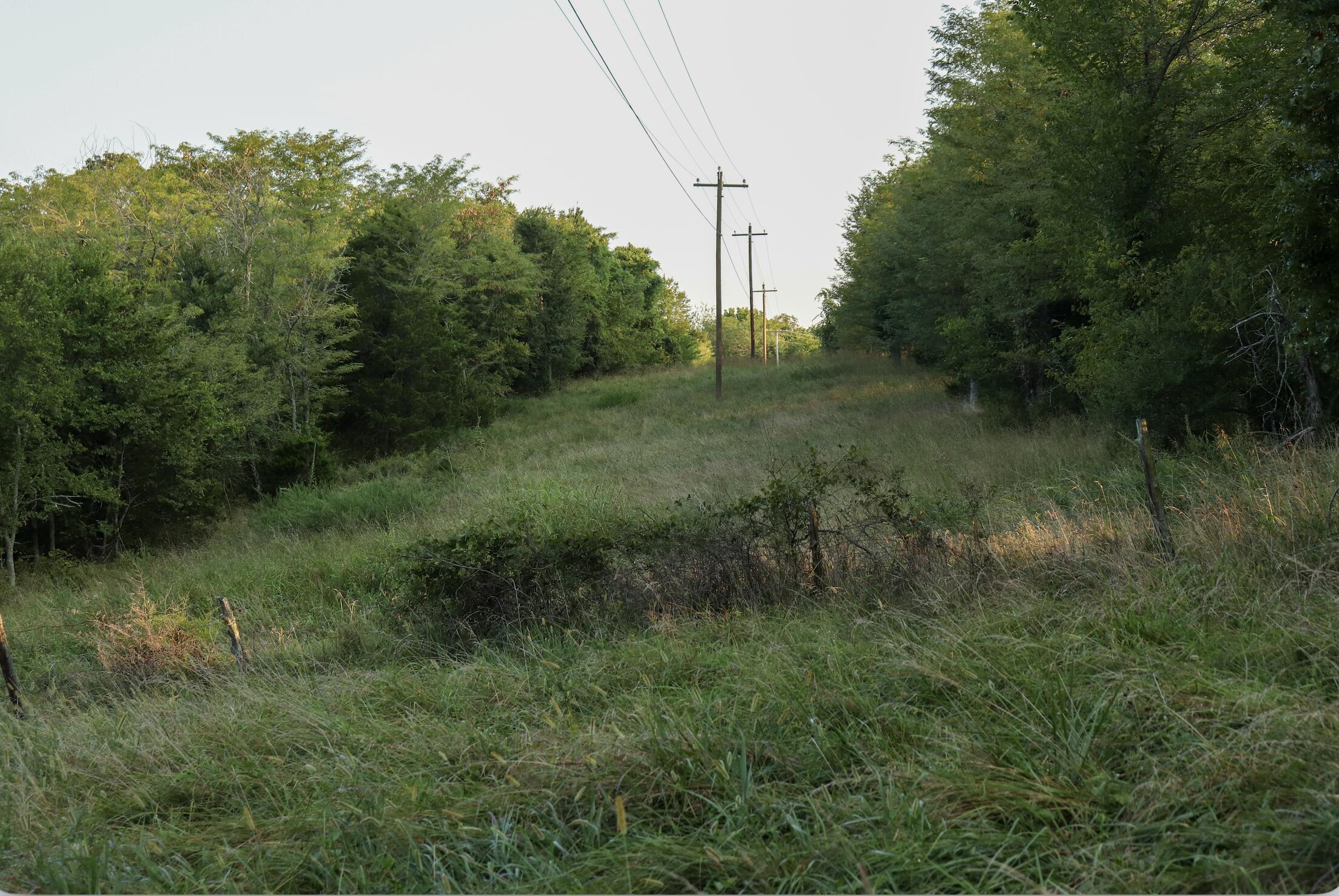 0 Quiet Acres Road Lampe, MO 65681 - Photo 50 of 56 Screenshot 2026-08-20 at 7.19.37AM