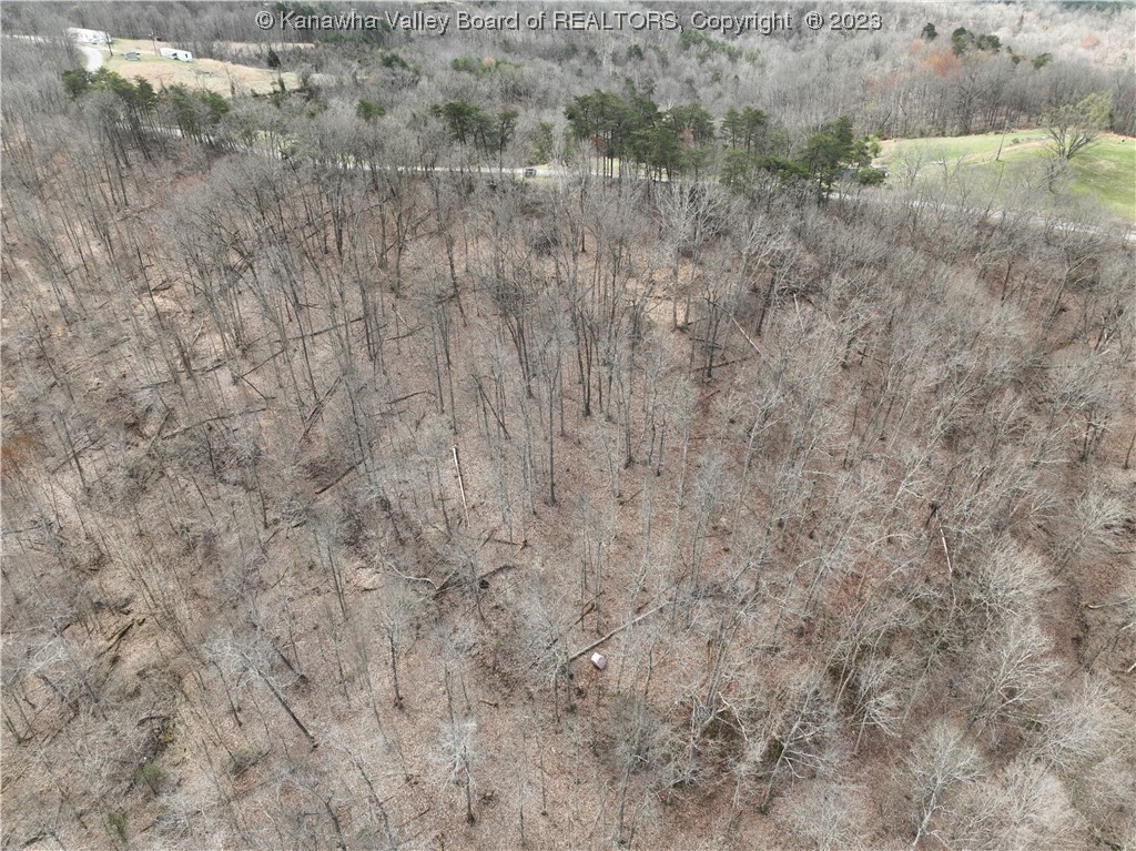 24-acres Redmond Ridge Road Gallipolis Ferry, WV 25515 - Photo 10 of 14 Gallery Image 10
