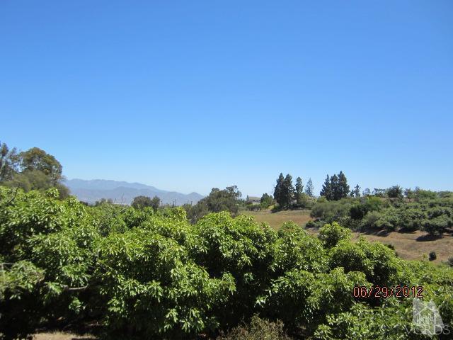 15 Vientos Road Camarillo, CA 93010 - Photo 1 of 25 a view of a bunch of trees in a field