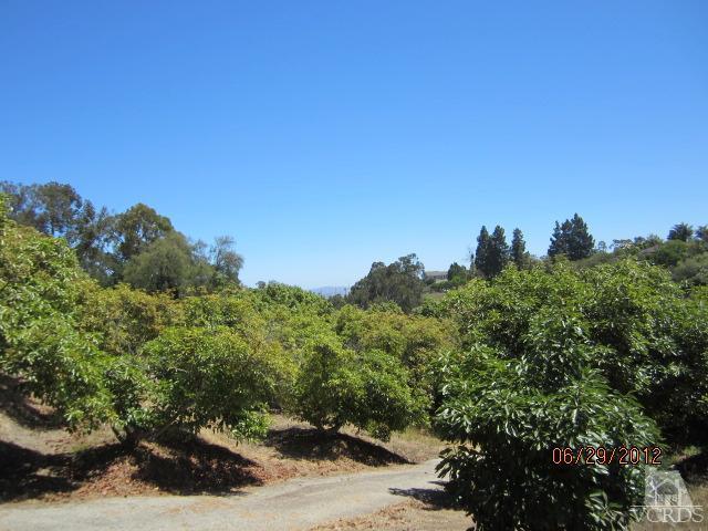 15 Vientos Road Camarillo, CA 93010 - Photo 23 of 25 a view of a forest with a tree in the background