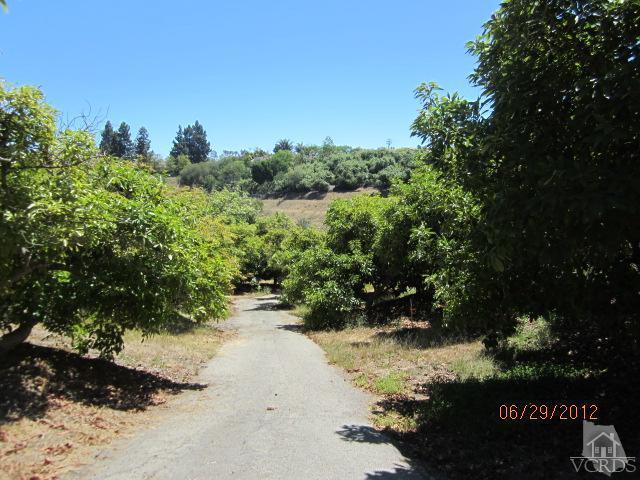 15 Vientos Road Camarillo, CA 93010 - Photo 24 of 25 a view of a yard with plants and a bench