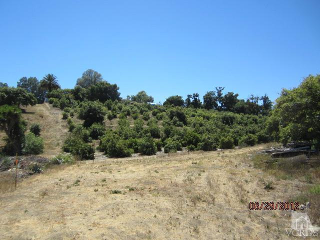 15 Vientos Road Camarillo, CA 93010 - Photo 25 of 25 a view of a dry yard with trees