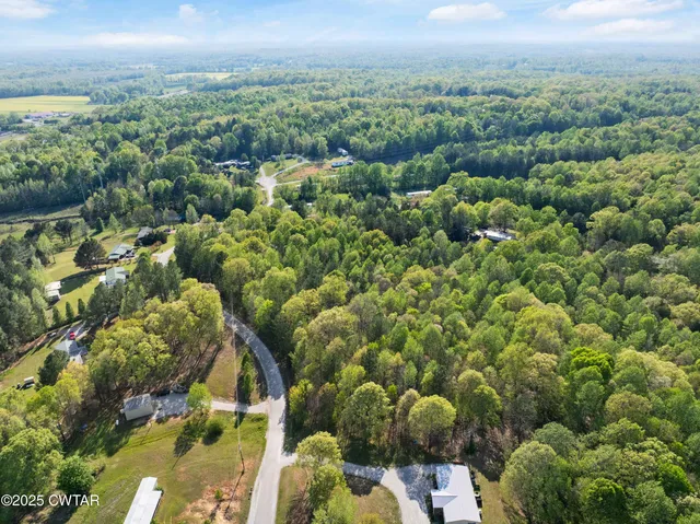 a view of a city with lush green forest