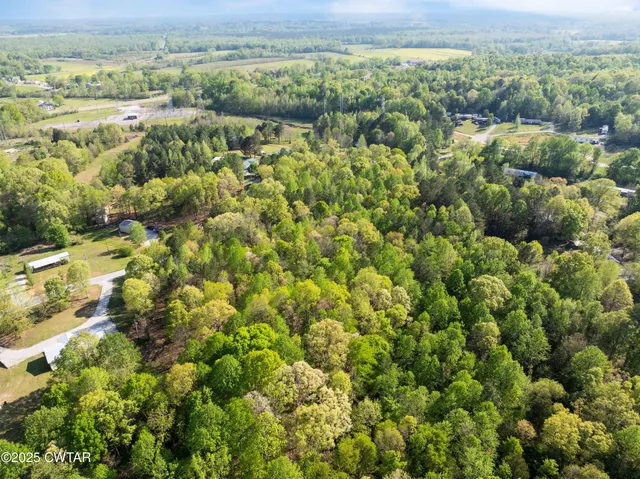 a view of a field with a lush green forest