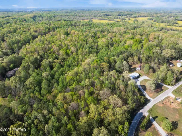 a view of a city with lush green forest