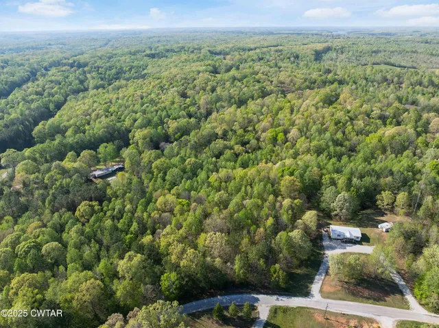 a view of a pathway both side of yard