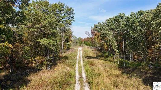 $61,000 | Lot 5 Main Street Road, Sedalia, MO 65301