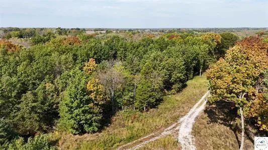 $61,000 | Lot 5 Main Street Road, Sedalia, MO 65301