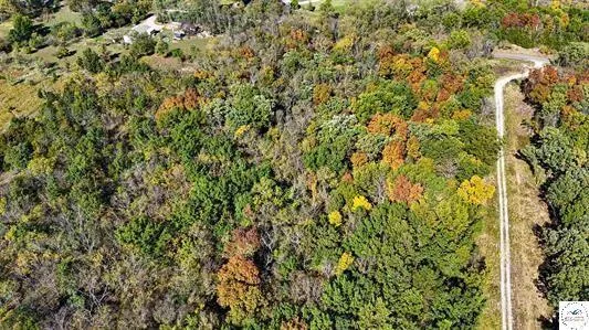 $61,000 | Lot 5 Main Street Road, Sedalia, MO 65301