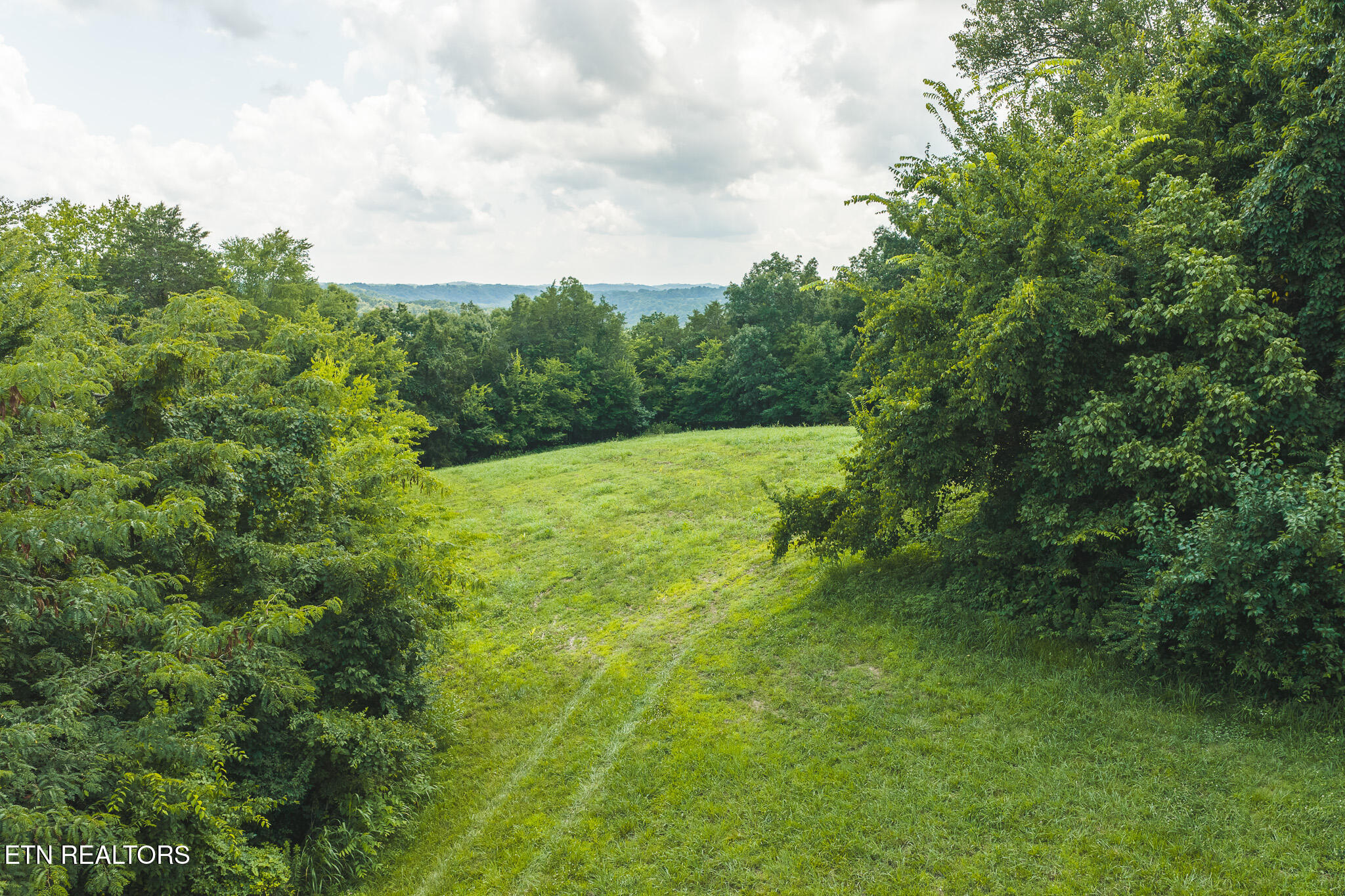 114-acres South Mohawk Road Midway, TN 37809 - Photo 3 of 49 DJI_20260707144527_0436_D - Copy
