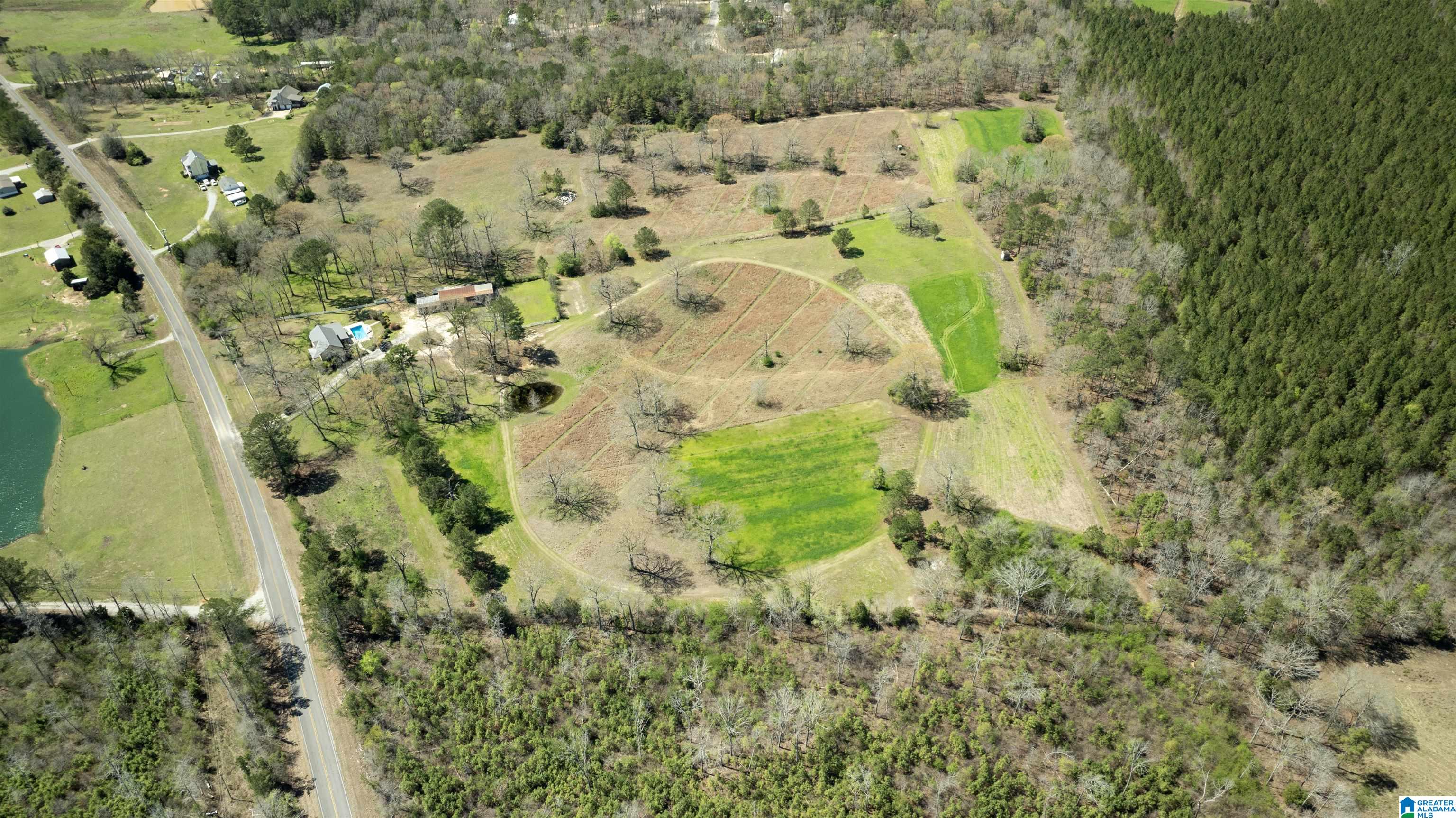 1707 County Road 54 Montevallo, AL 35115 - Photo 16 of 57