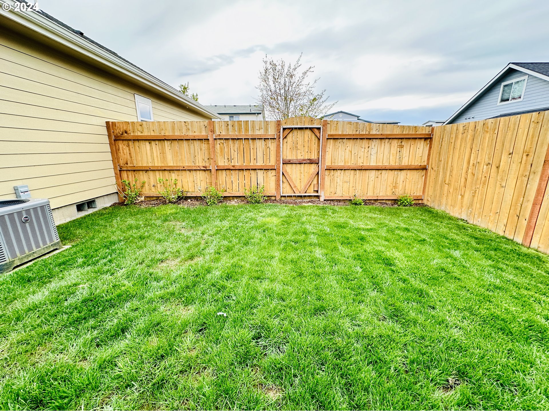 6470 Main Street Springfield, OR 97478 - Photo 33 of 35 a view of a backyard with plants