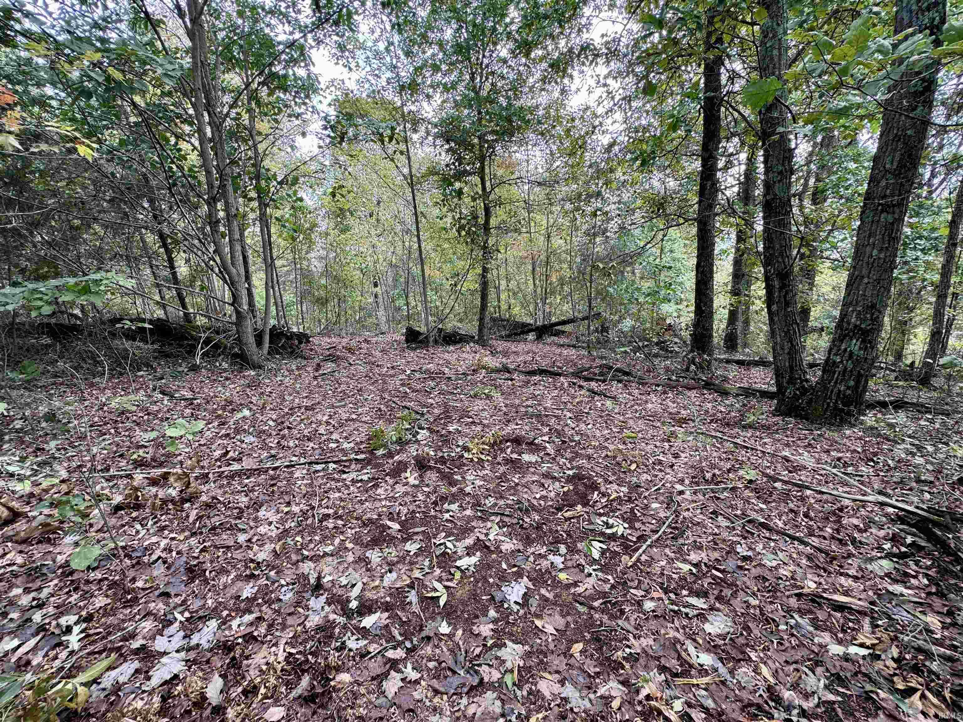 East Hurst Road Pekin, IN 47165 - Photo 14 of 28