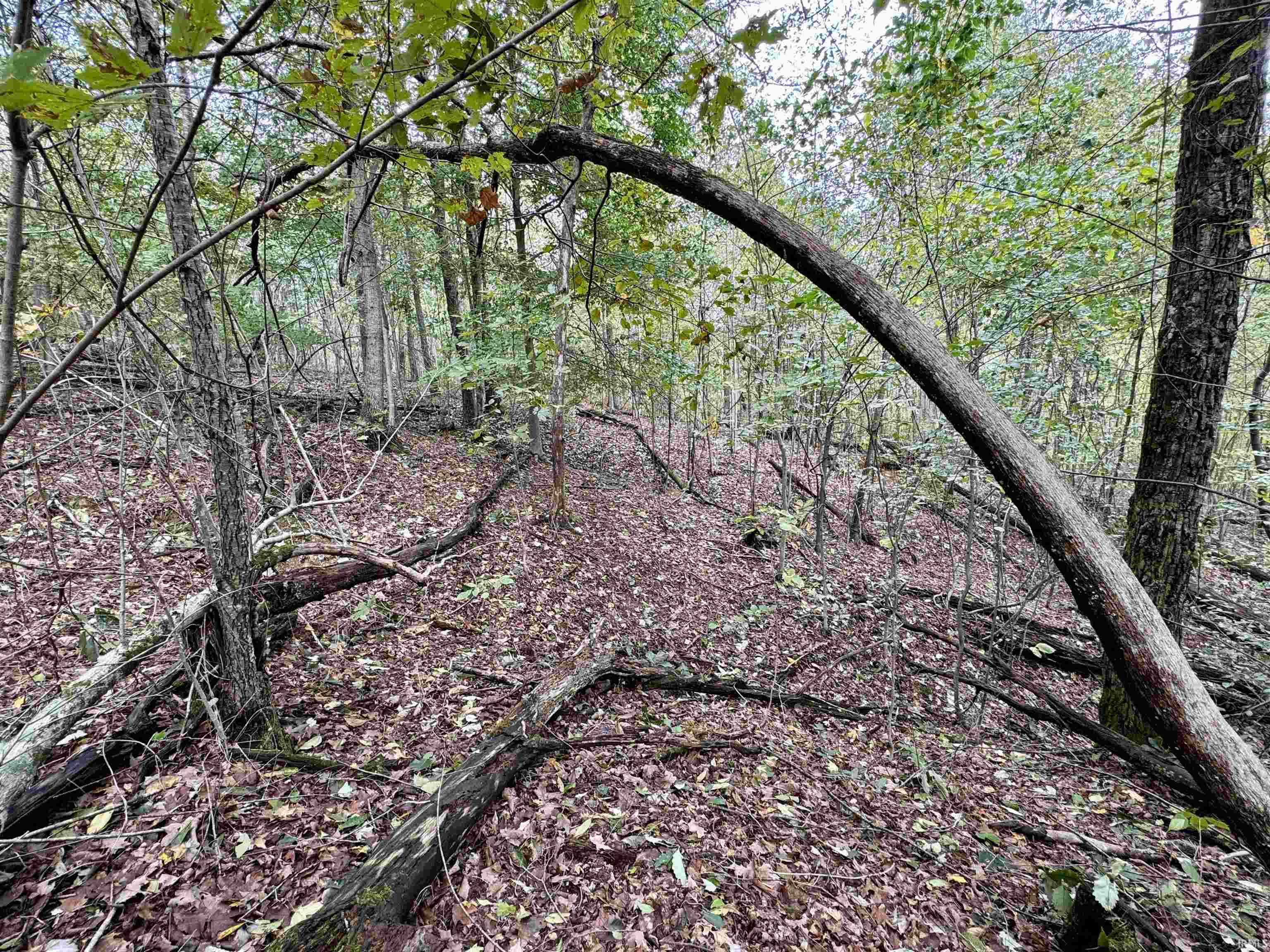 East Hurst Road Pekin, IN 47165 - Photo 15 of 28