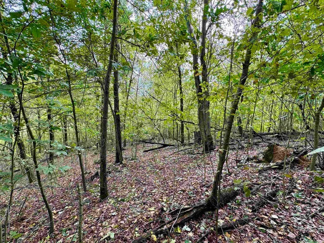 $85,000 | East Hurst Road, Pekin, IN 47165