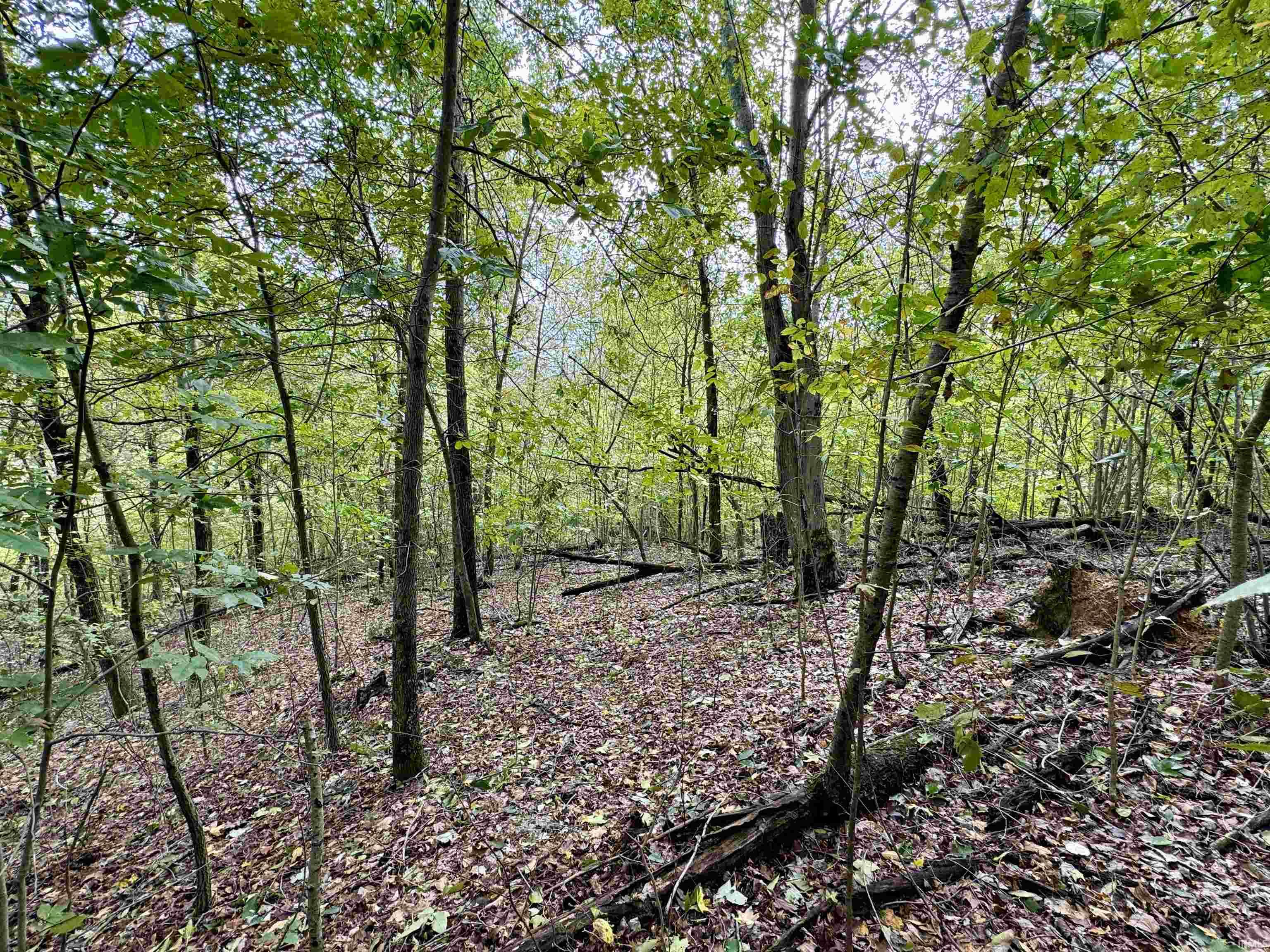 East Hurst Road Pekin, IN 47165 - Photo 16 of 28